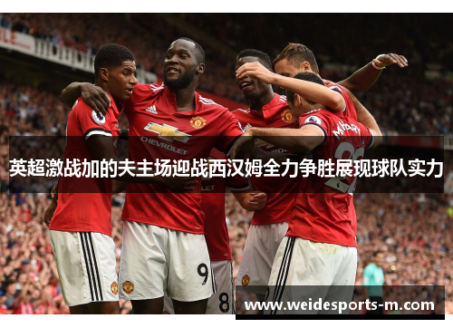 英超激战加的夫主场迎战西汉姆全力争胜展现球队实力