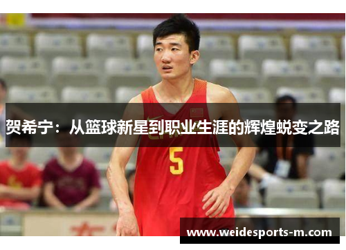 贺希宁：从篮球新星到职业生涯的辉煌蜕变之路